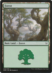 Forest (35)